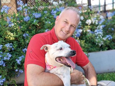 New CEO at Humane Society  has lots of new ideas